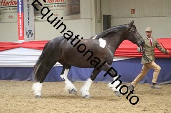 GYE-1557