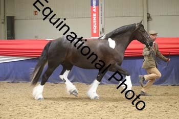 GYE-1558
