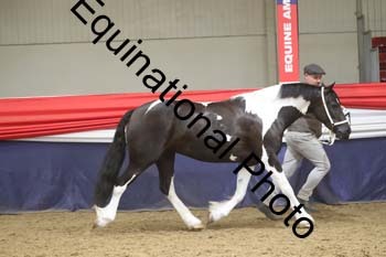 GYE-1566