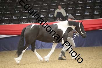 GYE-1567