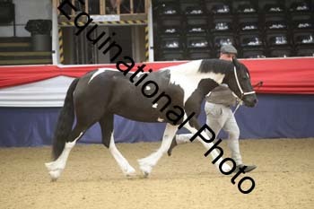 GYE-1569