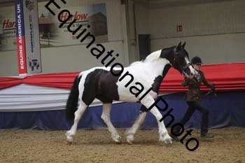 GYE-1575