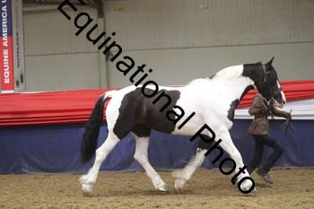 GYE-1577