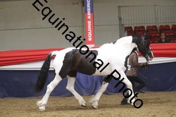 GYE-1578
