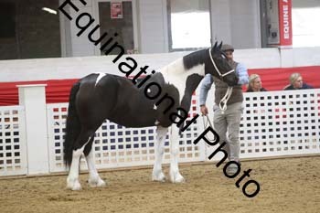 GYE-1584