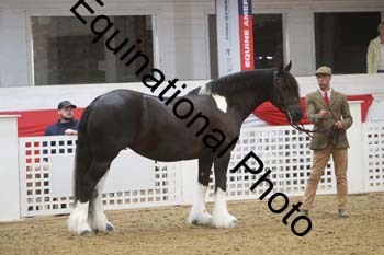 GYE-1586