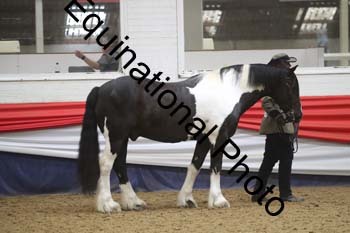 GYE-1599