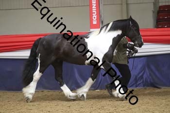 GYE-1608