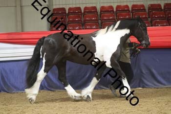 GYE-1609