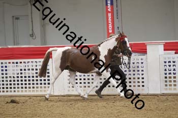 GYE-1618