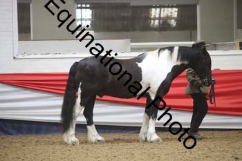 GYE-1621