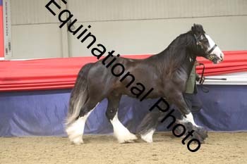 GYE-1677