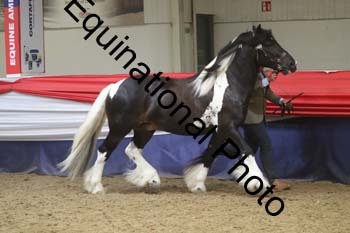 GYE-1678