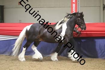 GYE-1679