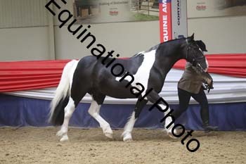 GYE-1686