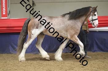 GYE-1692
