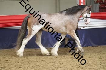 GYE-1693