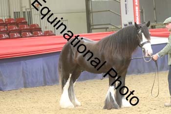 GYE-1708