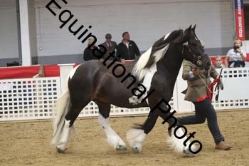 GYE-1722