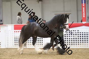 GYE-1723
