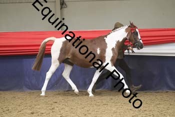 GYE-1746