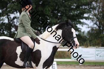 PXT-1014