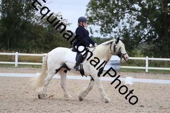 PXT-1132