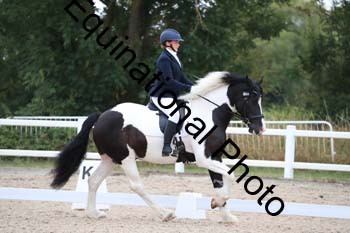 PXT-1202