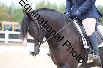 PXT-1449