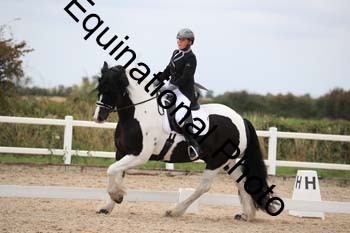 PXT-2034
