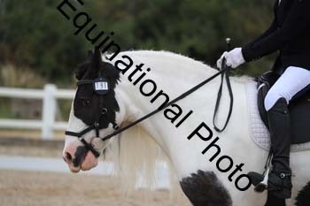 PXT-2141