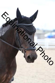 PXT-2227