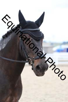 PXT-2228