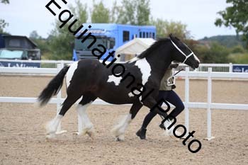 ABU-1185