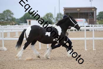 ABU-1188