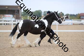ABU-1189