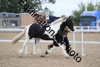 ABU-1201