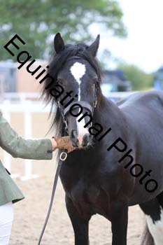 ABU-1226