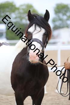 ABU-1235