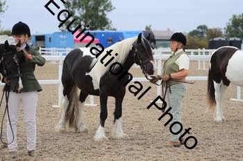 ABU-1254