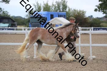 ABU-1296