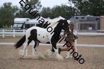 ABU-1303