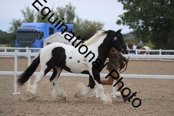 ABU-1304