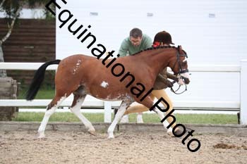 ABU-1384