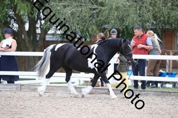 ABU-1385