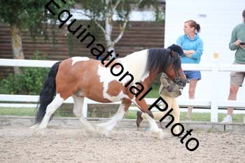 ABU-1398