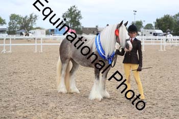 ABU-1749