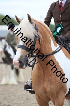 KPQ-1167