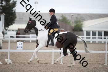 LDD-1025