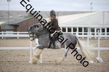 LDD-1642